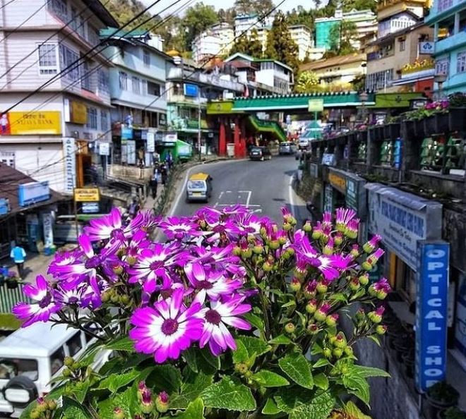 Gangtok City View 